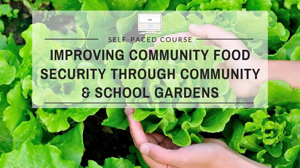 Improving Community Food Security Through Community and School Gardens